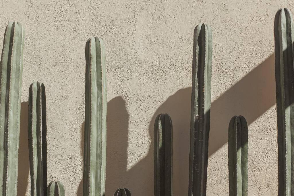 Cien Palmas- Authentic Mexican Casita 3 -Downtown Todos Santos Exterior foto